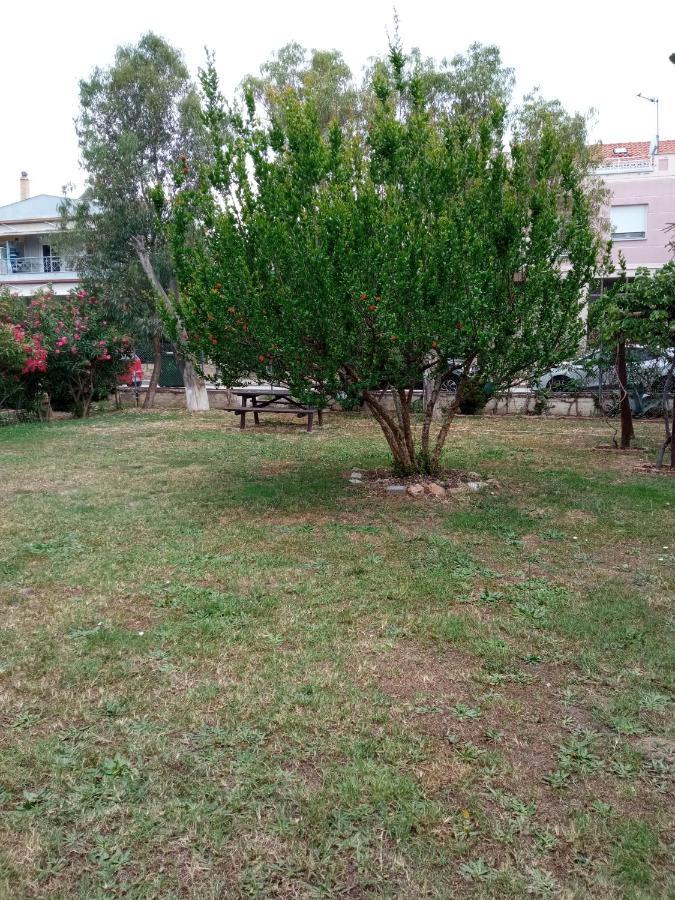Ferienwohnung Sofia'S Garden Néa Péramos Exterior foto